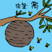 蜂窝 bee hive