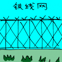 铁线网 wire mesh