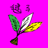 毽子 shuttlecock