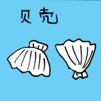 贝壳 shell