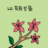 山胡姬 wild orchid