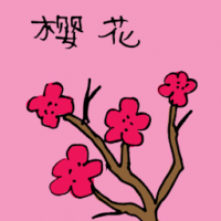 樱花 oriental cherry