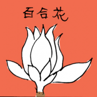 白兰花 lily flower