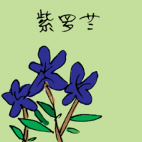 紫罗兰 violet