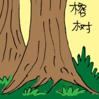 榕树 fig tree