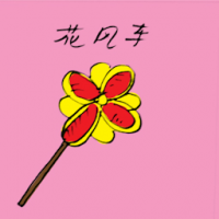 风车花 windmill flower