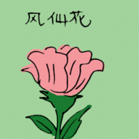 凤仙花 garden blossom