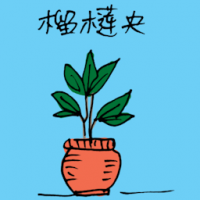 榴莲央 durian seedling