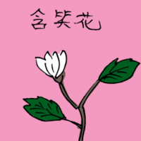 含笑花 banana shrub