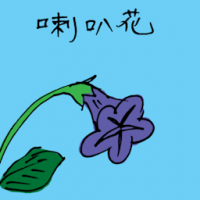 喇叭花 ipomoea nil