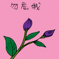 勿忘我 forget me not