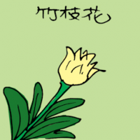竹枝花 bamboo pole flower