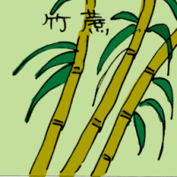 竹蔗 bamboo cane
