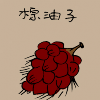 棕油子 palm oil seeds