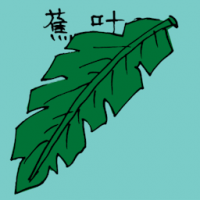 蕉叶 banana leaf