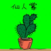 仙人掌 cactus