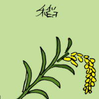 稻 paddy