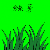 丝茅 wiregrass