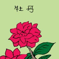 牡丹 peony