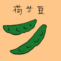 荷兰豆 peas