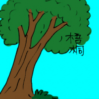 梧桐 big tree