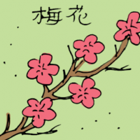 梅花 plum blossom