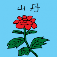 山丹 wild lily