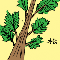 松 pine tree