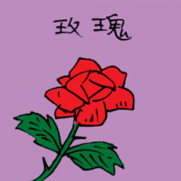 玫瑰 red rose