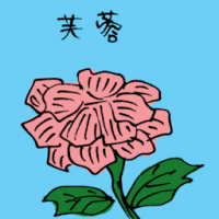 芙蓉 pink hibiscus