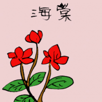 海棠 begonia flower