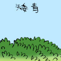 矮青 weed
