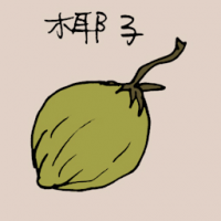 椰子 coconut