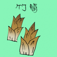竹笋 bamboo shoots