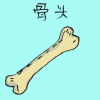 骨头 bone