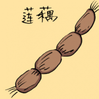 莲藕 lotus root