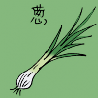 葱 scallion