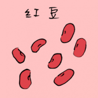 红豆 red bean