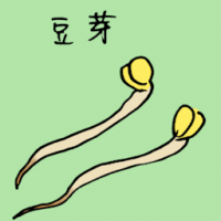 豆芽 beansprouts