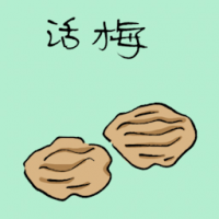 活梅,酸梅 sour plum