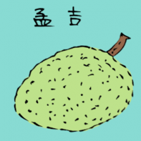 孟吉,木菠萝 jack fruit