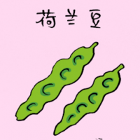 荷兰豆 snow pea
