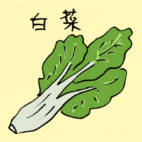 白菜 chinese cabbage