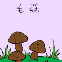 毛菇 small mushroom