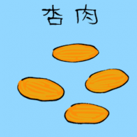 杏肉 preserved apricot