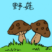 野姑 wild mushroom