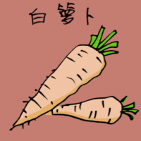 白萝卜 radish