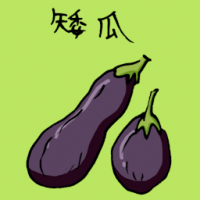 矮瓜 big eggplant
