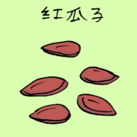 红瓜子 red melon seeds