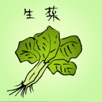 生菜 lettuce